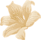 about-2-flower about-2-flower