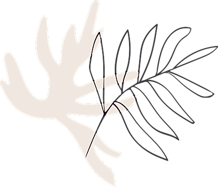 contact-2-shape-1 contact-2-shape-1