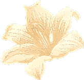 why-choose-2-s-1 why-choose-2-s-1